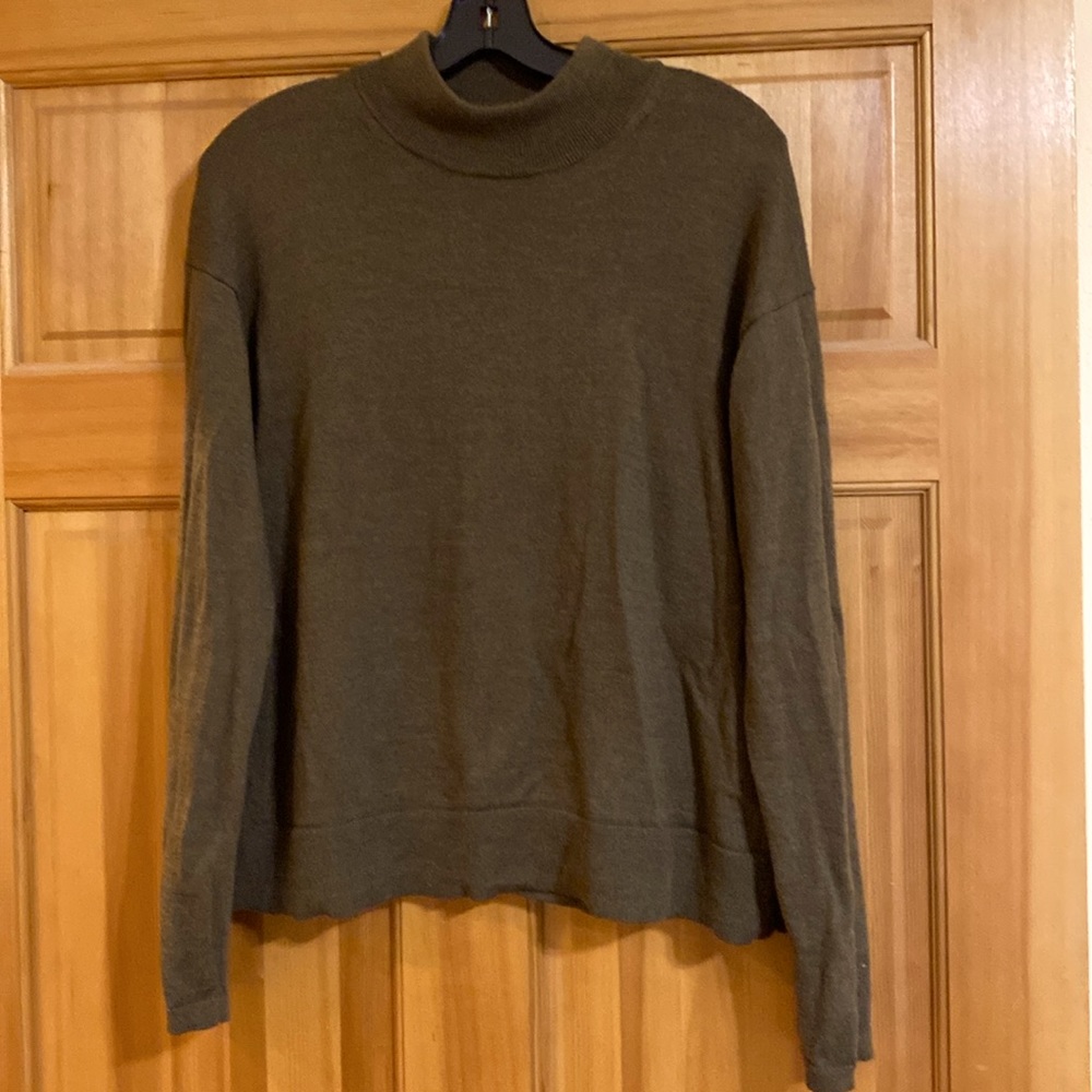 Adorro Merino Mock-Neck Sweater Banana Republic. Olive